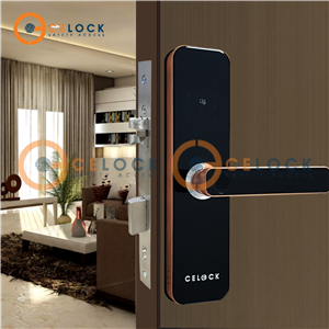 Nên chọn loại khóa thông minh cho cửa phòng ngủ như thế nào?